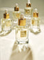IDEAL OIL CAMELLIA